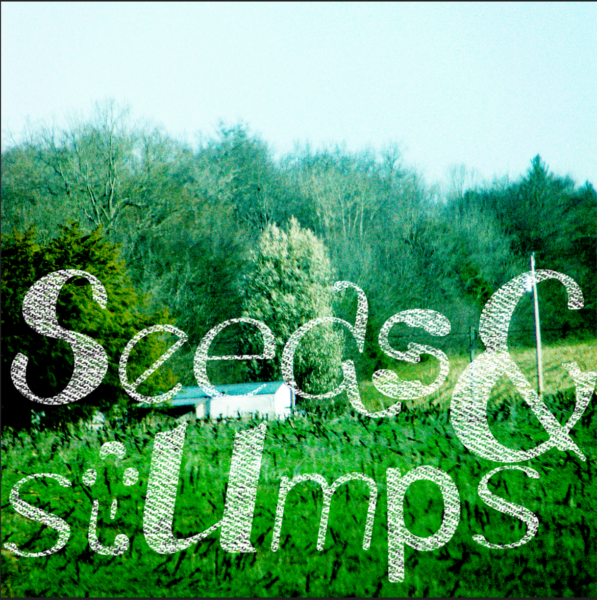 seeds and stumps cover art